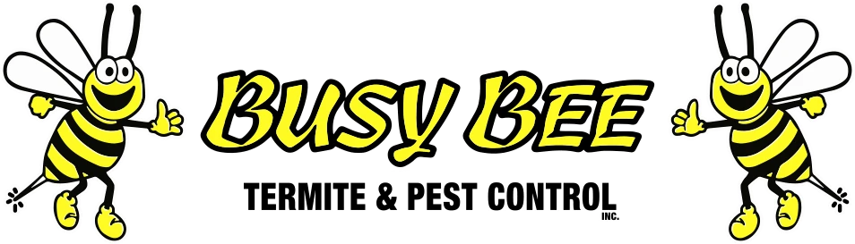 Busy Bee Termite & Pest Control