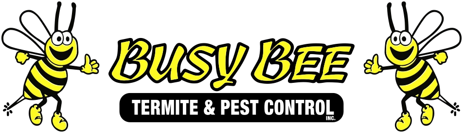 Busy Bee Termite & Pest Control
