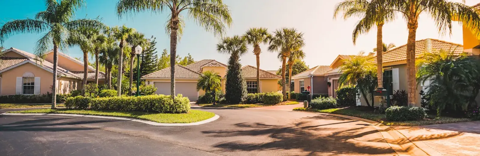 Pest Free Homes in Florida